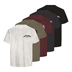 JACK&JONES T-shirts « Josh », pack de 5, multicolore