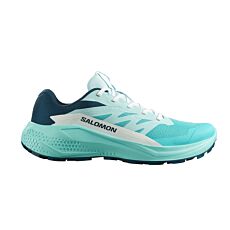 Salomon Alphaglide mit Optivibe®-Fussbett und Contagrip®-Sohle

 mint