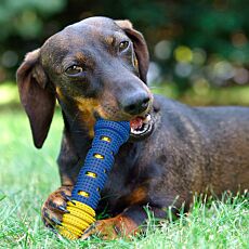 Jouet pour chiens à mâcher, flexible