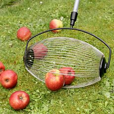 Collecteur roulant avec manche télescopique, pour les fruits tombés et les noix