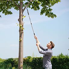 Scie à élaguer à manche télescopique, hauteur de travail jusqu'à 342 cm